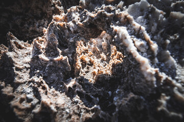 Devil's Gold Course at Death Valley National Park, Salt crystal