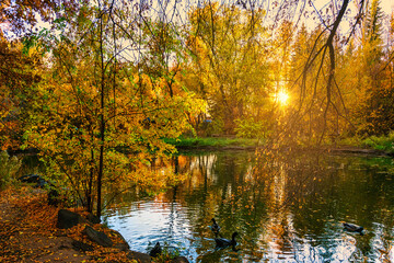 Obraz premium The fall sunset