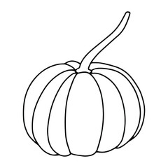 Pumpkin, leaf, acorn, mushroom.  Vector doodle element. For printing on paper, package, web banners, greeting cards. Autumn Thanksgiving day Happy Halloween party. Forest. Vegatarian food symbols.
