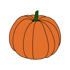 Pumpkin, leaf, acorn, mushroom.  Vector doodle element. For printing on paper, package, web banners, greeting cards. Autumn Thanksgiving day Happy Halloween party. Forest. Vegatarian food symbols.

