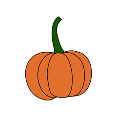 Pumpkin, leaf, acorn, mushroom.  Vector doodle element. For printing on paper, package, web banners, greeting cards. Autumn Thanksgiving day Happy Halloween party. Forest. Vegatarian food symbols.
