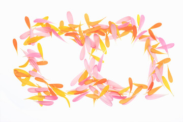 ガーベラの花びら