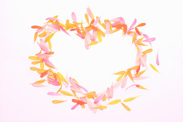 ガーベラの花びら