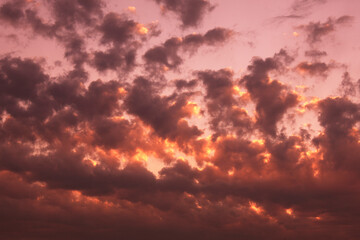 雲