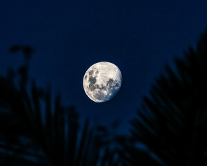 Fototapeta na wymiar full moon over a sky