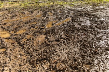 Mud texture background. Muddy road after the rain. Puddles on the road.