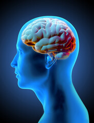 3D human head with brain inside on dark BG