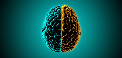 3D rendering dark light human brain hemispheres illustration on green BG