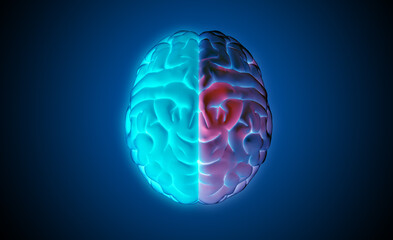 3D rendering brain top view blue on left and colorful red on right
