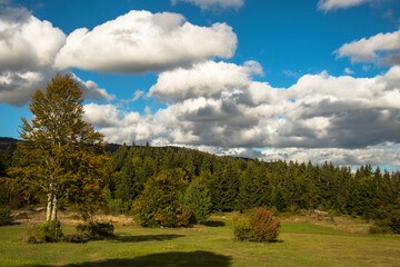 OCTOBER, 2020 - Scenic landscape of the Velebit mountain. Beautiful autumn day on the meadow