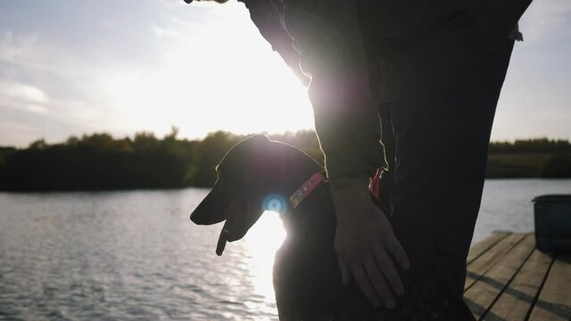 A dog sits on a pier during sunset next to its man's foot. Concept: loyalty