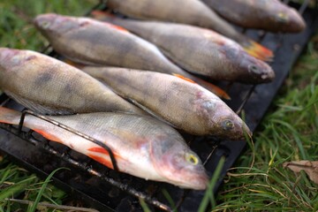 River fish close-up cooked on a grill for smoking