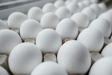 Tray of white fresh eggs close-up on a cardboard form. Agricultural industry