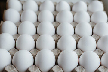 Tray of white fresh eggs close-up on a cardboard form. Agricultural industry