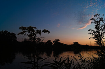 Źdźbła trawy podczas zachodu jesiennego słońca © Marcin