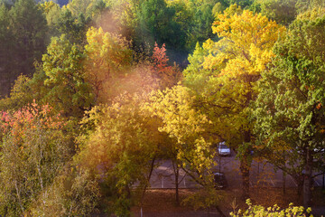 Cars in the parking lot in the park hidden under the crowns of trees with colorful autumn foliage. View from the apartment window of an apartment building.