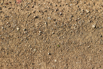 Dirt road background texture, outdoor texture. Backdrop for various ideas.