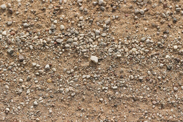 Dirt road background texture, outdoor texture. Backdrop for various ideas.