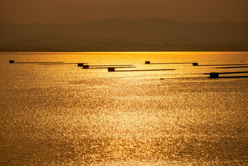 Beautiful nature landscape fish farming in cages on the water surface that reflects the golden yellow light of the sunlight during sunset and mountain background at Krasiao Dam, Suphan Buri, Thailand