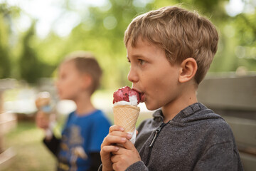 Two young boys eats ice cream in the park.