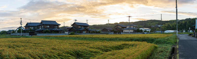 Fototapeta na wymiar Beautiful panoramic view of traditional Japanese farming village at sunrise