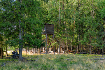 A wooden watching tower on the edge of mixed woodland and open grassland. Leningrad Oblast, Russia