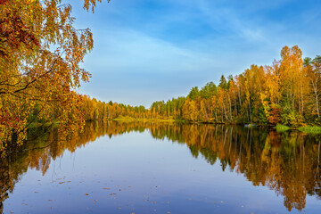 The fiery colours of autumn foliage on trees are reflected in the calm water of the forest lake at sunny day