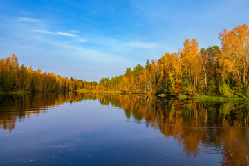 The fiery colours of autumn foliage on trees are reflected in the calm water of the forest lake at sunny day