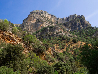 Fototapeta na wymiar Mountains along the path of the Rio Borosa trail in the Cazorla Natural Park