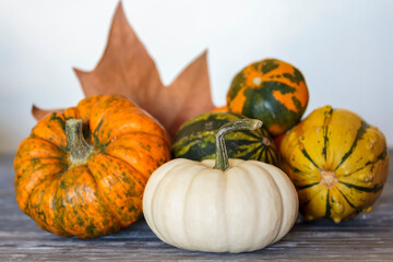 Different kinds of pumpkins on blue wooden table