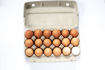 Close-up view of raw chicken eggs in egg box on white wooden background