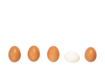 Five white and brown chicken eggs in a row isolated against a white background.