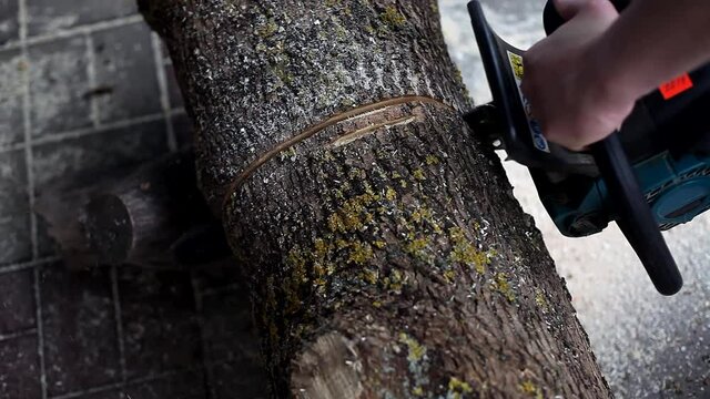 A man working with chainsaw and sawing a tree trunk. Sawing a log, wood working.