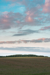 Forest on top of a field on a hill during sunset with colorful clouds. Minimalistic autumn or fall landscape with pastel colors. Large copy space. Vertical orientation