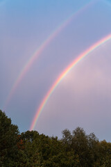 Double rainbow above forest with blue sky after the rain. Colorful clouds. Vertical orientation.