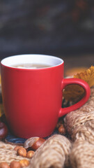 Red mug with tea on the background of a soft, knitted scarf, autumn leaves, pumpkin. Autumn background, cozy evening, fireplace.
