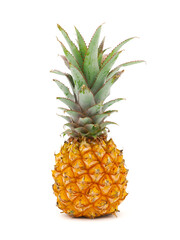 Baby Pineapple fruit isolated on white background