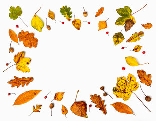 Colorful collection of autumn leaves framing a white background