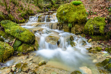 Stream in the forest (Catalonia, Vallfogona de Ripolles, Spain)
