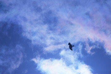 青空