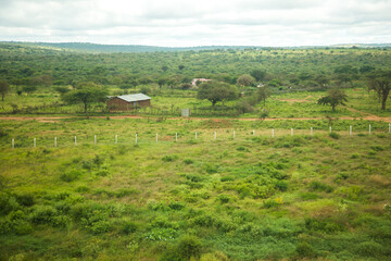 Fototapeta na wymiar A farm near Konza, south of Narobi