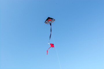 Kite