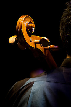 violoncelo