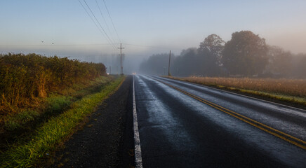 Fototapeta premium Foggy morning, rural road