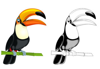 cartoon sketch scene with toucan bird on white background - illustration © agaes8080