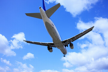 飛行機