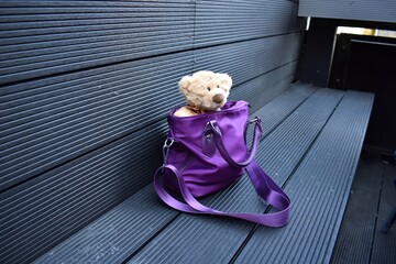 A teddy bear sitting on the bench 