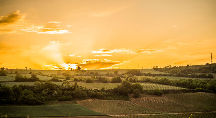 sunset over the field