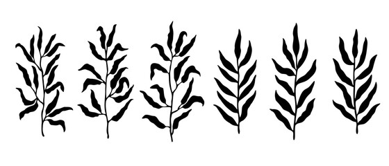 Vector set of branches and leaves silhouettes. Hand drawn botanical elements isolated on white background