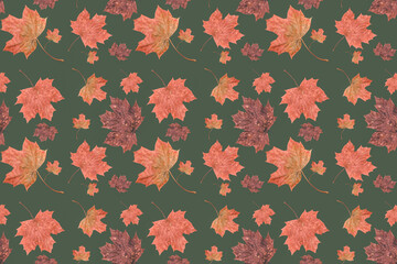 autumn maple leaves